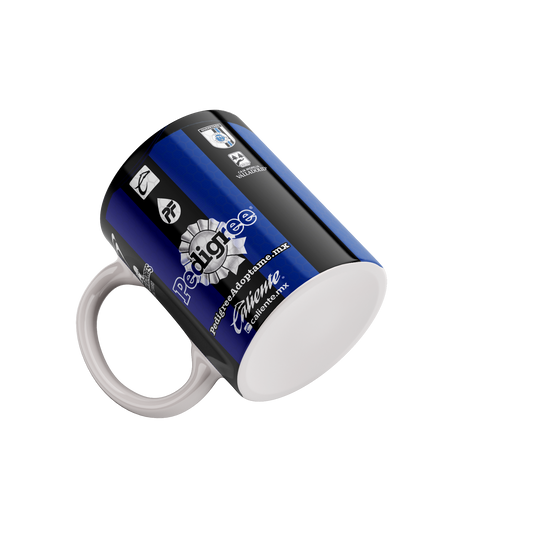 Mug Jersey Querétaro F.C.